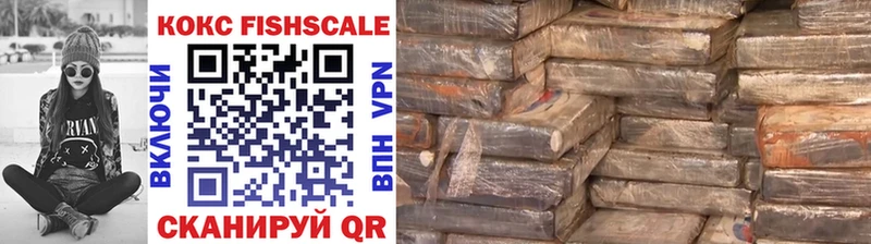 COCAIN FishScale Кирово-Чепецк