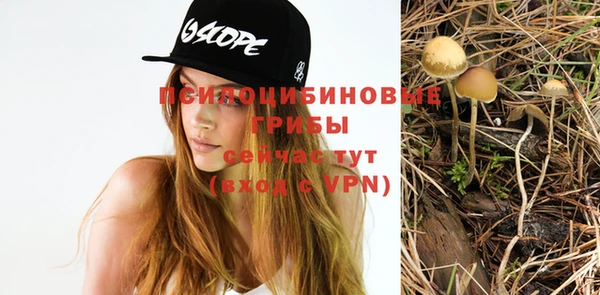 мдпв Балахна