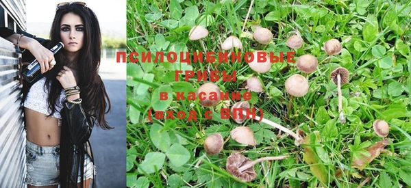 героин Белокуриха