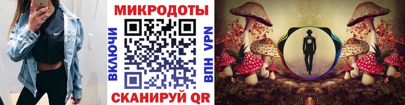 Псилоцибиновые грибы MAGIC MUSHROOMS  где найти наркотики  Кирово-Чепецк 